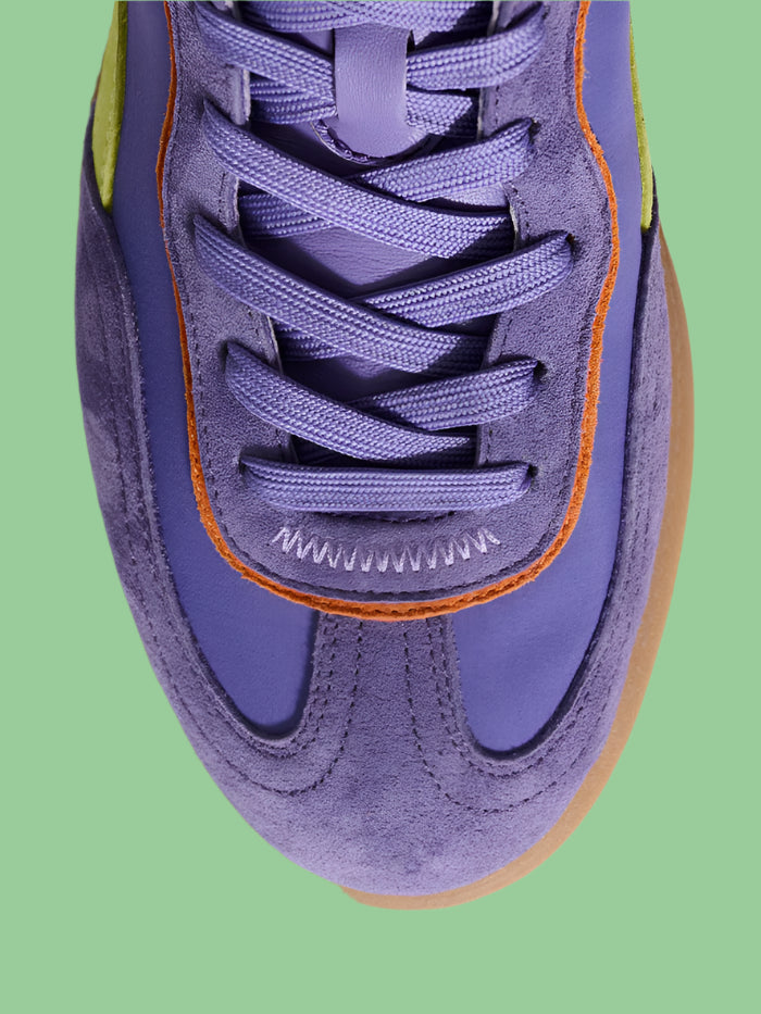 HOFF PARK MORADO - Purple/Yellow/Orange