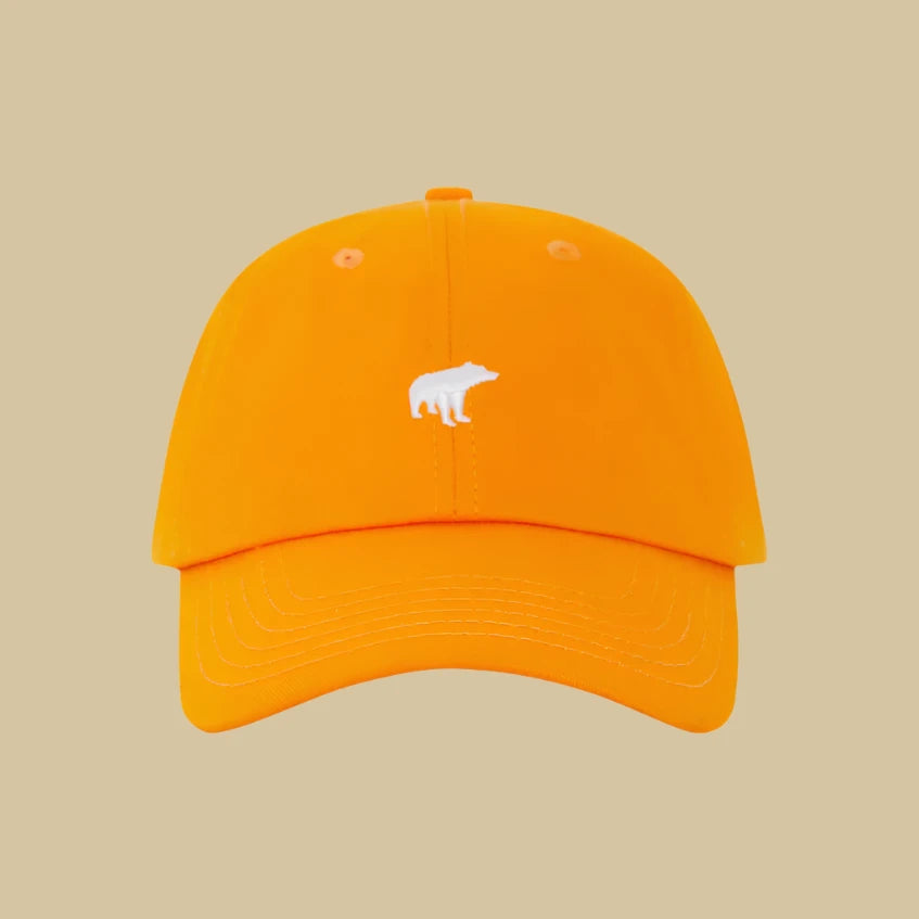 PLAIN BEAR - Panel Hat