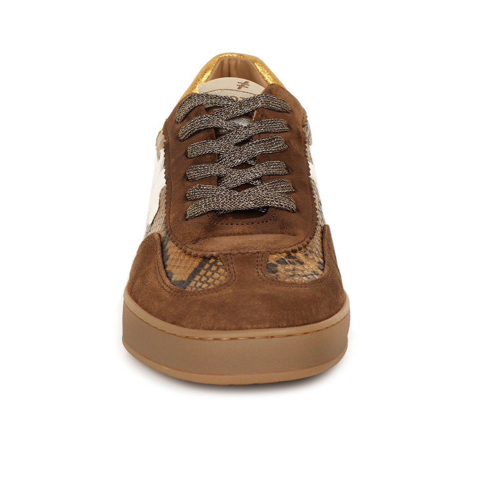 ANAOTHER TREND - CASTANA - YELLOW/SNAKE/BROWN